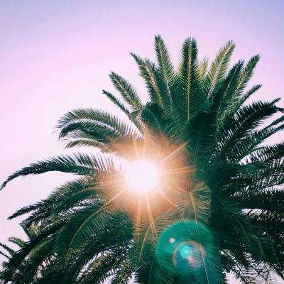 房价走势最新消息